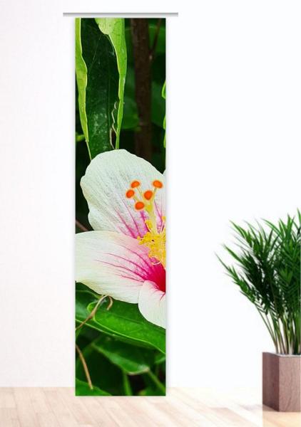 Flächenvorhang Prachtblüte  , Schiebevorhang, Schiebegardine, modern, 60 cm bre